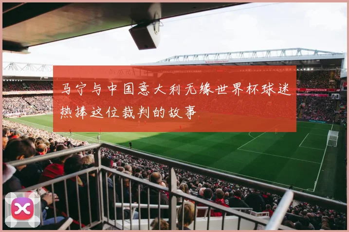 马宁与中国意大利无缘世界杯球迷热捧这位裁判的故事