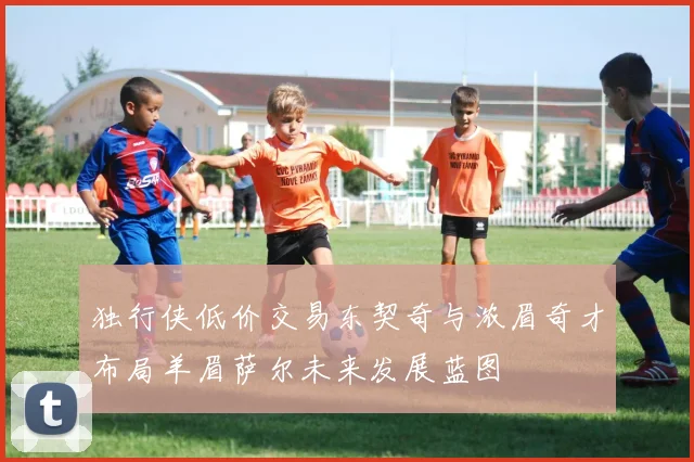 独行侠低价交易东契奇与浓眉奇才布局羊眉萨尔未来发展蓝图